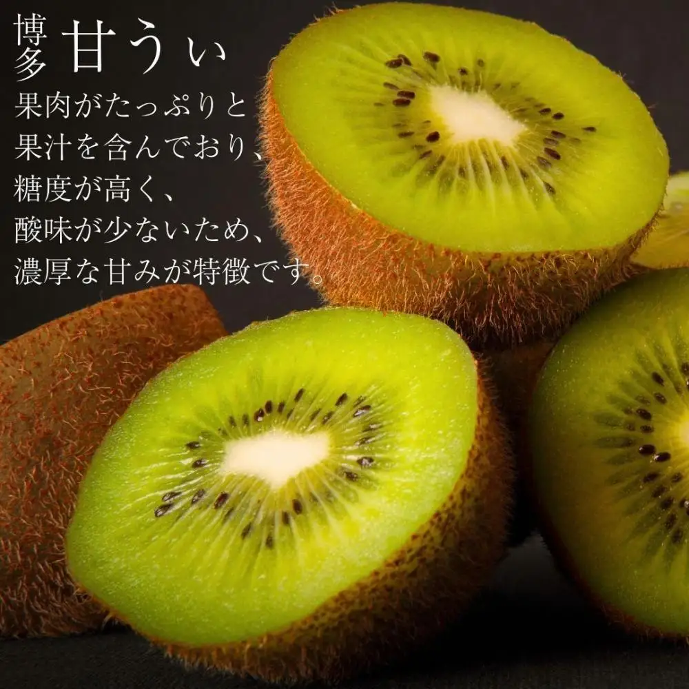【2026年11月上旬より順次発送】博多甘うぃキウイ(あまうぃ)大玉 9玉入り 1.4kg相当 うまうまもぐもぐ