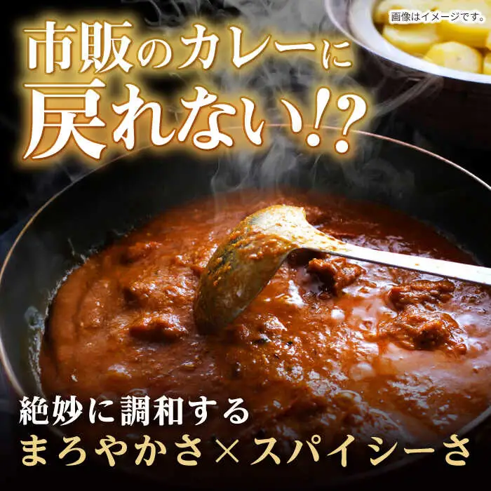 【肉のプロが贈る 究極のカレー】長崎和牛 A5 カレー 約240g×4袋 / カレーライス かれー レトルト 牛 和牛 / 諫早市 / 野中精肉店 [AHCW097]