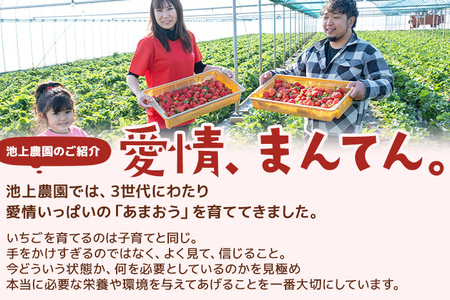 ふるなび限定 フローズンあまおう1kg 冷凍イチゴ いちご 苺 FN-Limited-PR BD10-1 