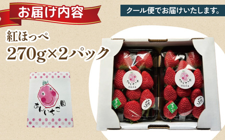 【 いちご 】 紅ほっぺ 270g×2パック いちご 