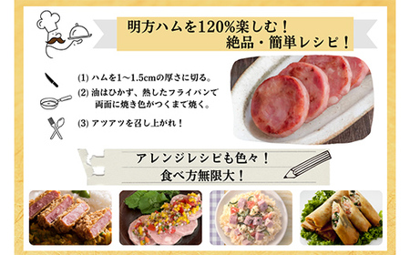 明方ハム 3本セット 計1050g 【JAめぐみの農業協同組合】ハム おつまみ 惣菜 晩酌 ディナー 弁当 ビール ワイン 酒のお供 大容量 まとめ買い 詰め合わせ 肉 食品 国産 豚肉 岐阜県 坂祝町 さかほぎ F6M-090