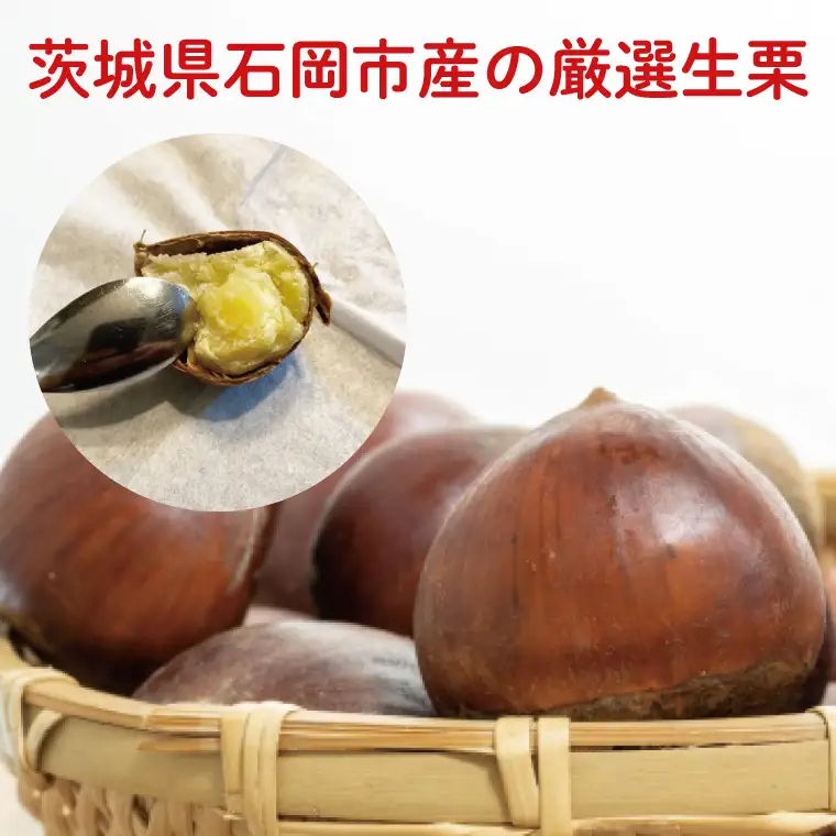 【2026年9月中旬より順次発送】石岡市鶴沼の栗（生栗）1kg（茨城県共通返礼品/石岡市）（KN-4）