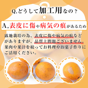 ＜先行予約受付中！2027年1月中旬以降順次発送予定＞数量限定！加工用・露地マイヤーイエローレモン(2kg) 国産 果実 果物 レモン イエローレモン フルーツ 檸檬 柑橘 デザート 期間限定【桐野柑橘株式会社】akn070-02