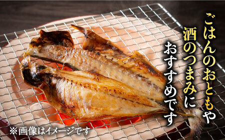 五島 干物6種セット[RAF001] 干物 ひもの 五島 鮮魚 五島列島 干物 ひもの 五島 鮮魚 五島列島 干物 ひもの 五島 鮮魚 五島列島 干物 ひもの 五島 鮮魚 五島列島九州 長崎