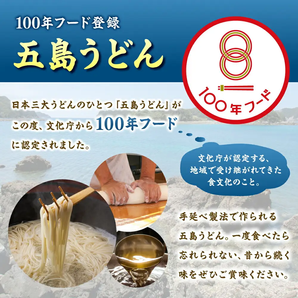 がんこ親爺のこだわりうどん250g×20袋 五島うどん うどん 乾麺 麺 保存食 業務用 大容量[RAO011] うどん 五島うどん 麺 うどん 五島うどん 麺九州 長崎 