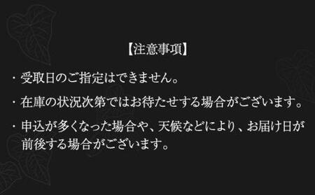 【全3回定期便】五島灘黒麹・明治之芋五島灘2本セット 各1800ml×1本[RAW024] 焼酎 芋焼酎 定期便 焼酎 芋焼酎 定期便 焼酎 芋焼酎 定期便 焼酎 芋焼酎 定期便九州 長崎