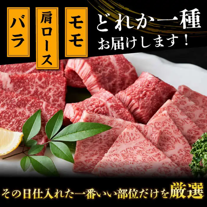 焼肉用 A4-A5 長崎和牛 焼肉用 500g   [DBS001]