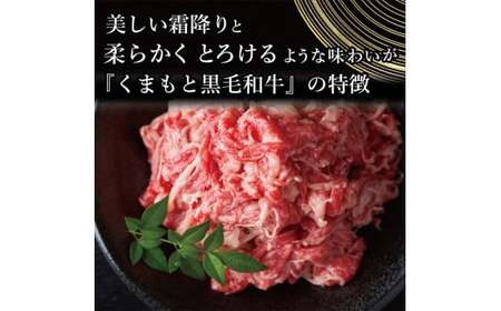 FK7-0010_ 【A4～A5】 くまもと黒毛和牛切り落とし 1kg（500g×2p）
