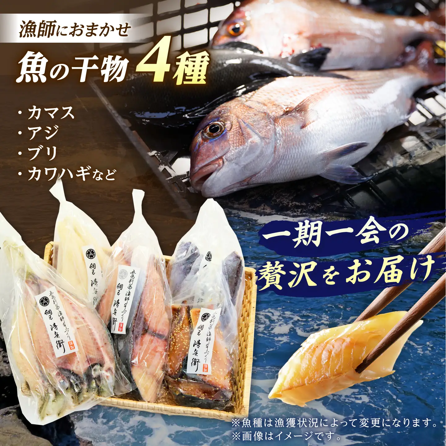 旬の魚 干物5種 詰め合わせ[RBO012] 干物 