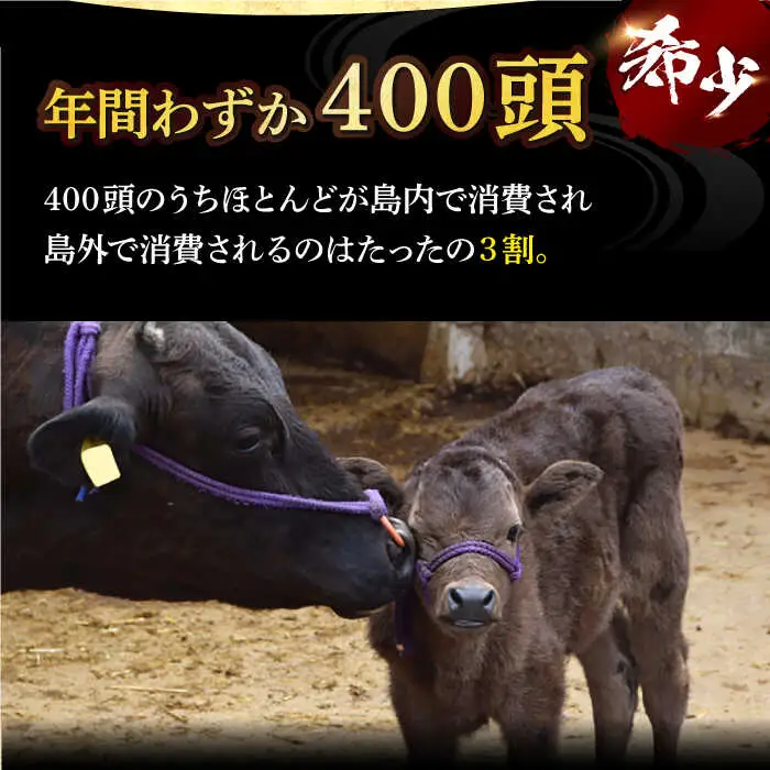 【全3回定期便】五島牛サーロインステーキ 牛肉 約200g×3枚[RBP032] 五島牛 サーロインステーキ 定期便 五島牛 サーロインステーキ 定期便 五島牛 サーロインステーキ 定期便九州 長崎