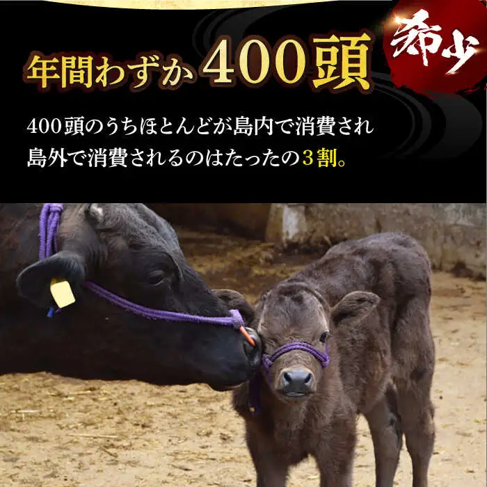 【全6回定期便】五島牛サーロインステーキ 牛肉 約200g×3枚[RBP033] 五島牛 サーロインステーキ 定期便 五島牛 サーロインステーキ 定期便 五島牛 サーロインステーキ 定期便九州 長崎