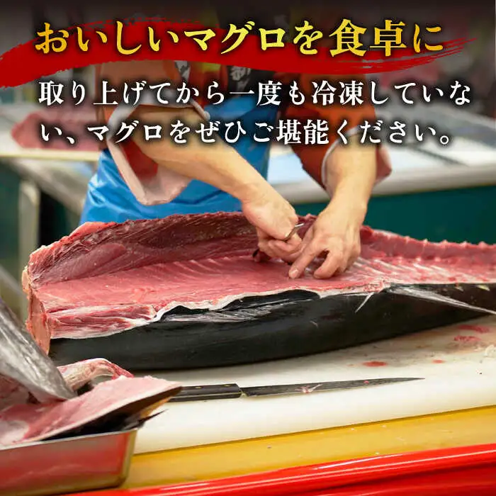 【全3回定期便】五島列島産養殖生本かみまぐろ 赤身 500g[RBP061] 本マグロ 本まぐろ 定期便 本マグロ 本まぐろ 定期便 本マグロ 本まぐろ 定期便九州 長崎