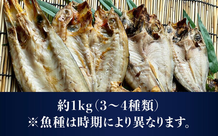 干物 約1kg 3-4種[RBV002] 干物 干物 干物 干物 