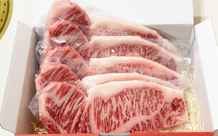 長崎和牛（A4ランク以上）サーロインステーキ1.2kg（240g×5枚）[RCE002] 長崎和牛 サーロイン ステーキ 長崎和牛 サーロイン ステーキ九州 長崎