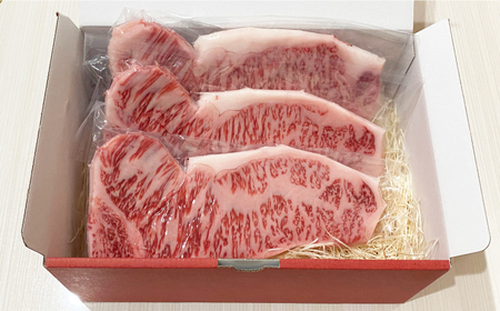 【全6回定期便】長崎和牛（A4ランク以上）サーロインステーキ600g（200g×3枚）[RCE004] 長崎和牛 サーロイン ステーキ 定期便 長崎和牛 サーロイン ステーキ 定期便九州 長崎