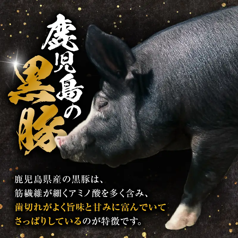 【14営業日以内に発送】【数量限定】鹿児島県産 黒豚切り落とし 2.5kg K025-001_05 肉 豚肉 冷凍 スピード配送 最短 すぐ届く お急ぎ