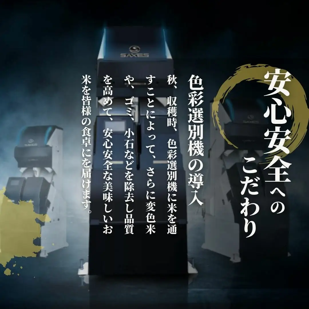 【先行予約】令和8年産 新米 新潟県産コシヒカリ 玄米 10kg(5kg×2袋) 特別栽培米【9月下旬発送開始】 | 米 玄米 五泉市