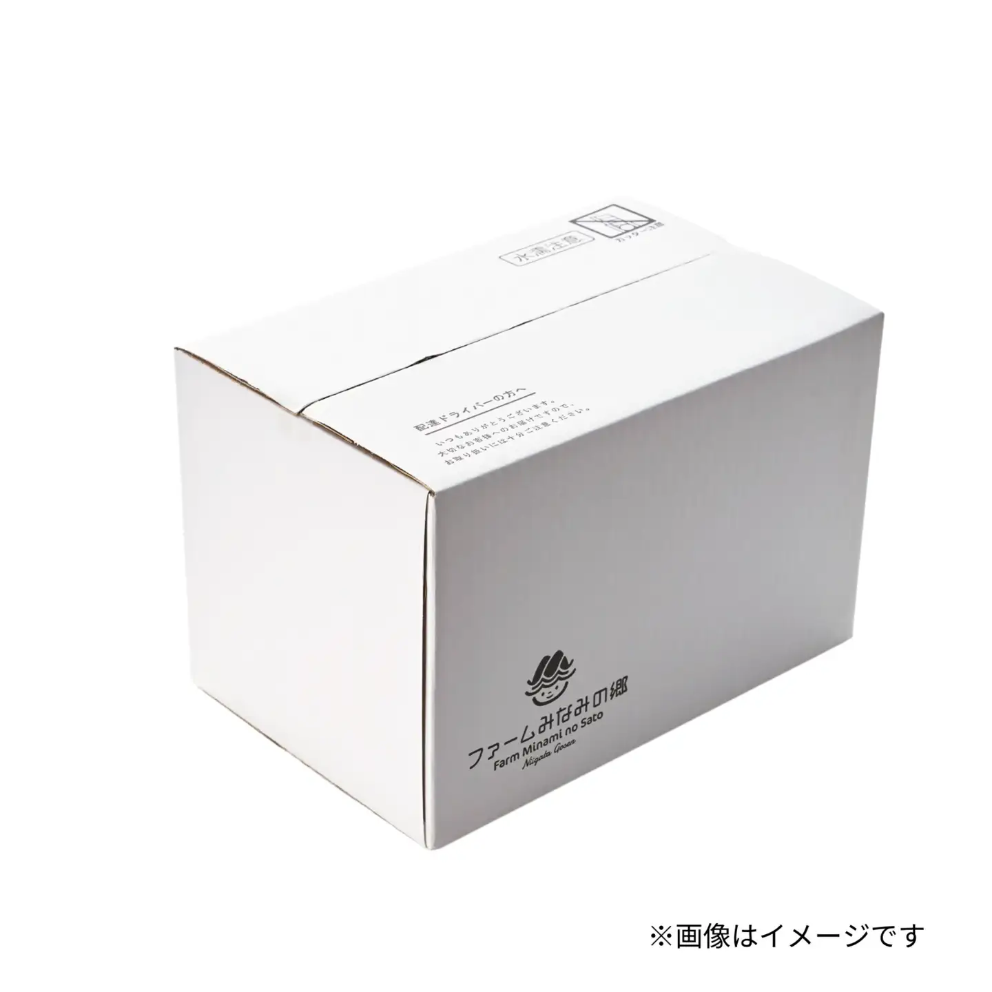 【先行予約】令和8年産 新米 食べ比べセット 10kg(南郷米5kg・新之助5kg) コシヒカリ | 新潟県産 白米 米 五泉市