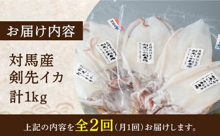 【全2回定期便】剣先 イカ 刺身 セット 1kg [WAD051]あかいか まるいか