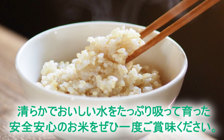 【先行予約】【令和7年産 新米】減農薬・減化学肥料の特別栽培コシヒカリ 玄米 10kg（5kg×2袋） 農家直送 福井県大野市産