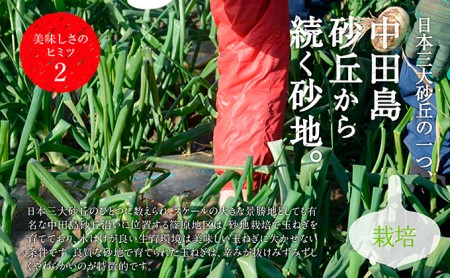 テレビで紹介されました 浜松篠原産新白玉ねぎプレミアムホワイト5キロ テレビで紹介されました