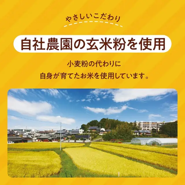 グルテンフリー バターチキンカレー レトルト カレー 180g×25袋 ono13