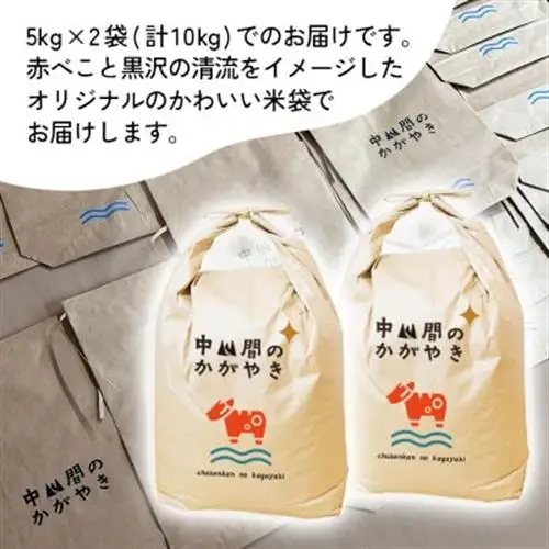 【R8年産先行】 福島 柳津町 黒沢地区産こしひかり 中山間のかがやき 10kg 〈11月発送開始〉【1535164】