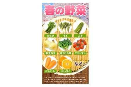 ＜先行予約＞旬の新鮮な 野菜便 4月春便 8～10品 野菜