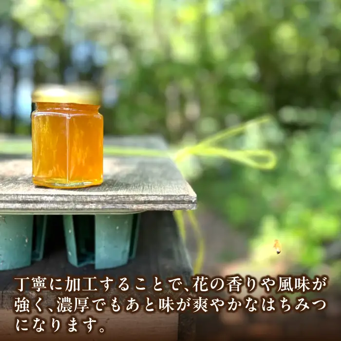 恵那蜂蜜 24本セット (百花蜂蜜300g×12本、栗蜂蜜300g×12本) / 恵那市 / はち工房こうけつ [AUDF045]