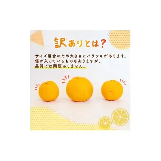 【先行予約】 【早期受付】 訳あり 有機栽培 ぽんかん 10kg 2027年2月より 順次発送 高知県 須崎市