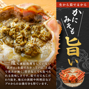 かに 訳あり 茹で 1kg以上 2～3杯 ボイル 魚介 越前 かに