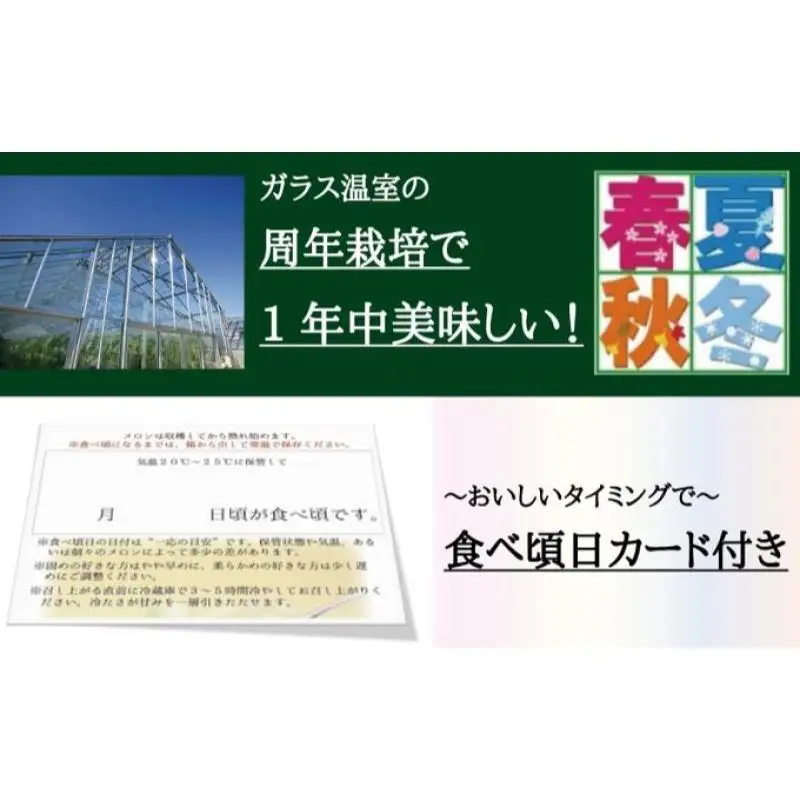 クラウンメロン 1玉 1kg 白等級 フルーツ メロン