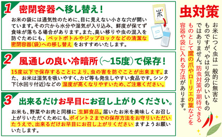 白米 精米 阿蘇びより 20kg (5kg×4袋)