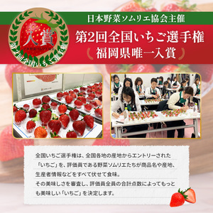 暖家のいちご 完熟あまおう 275g×2パック【2月上旬以降順次発送】　AB005