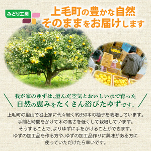 訳あり 青ゆず 生果実 たっぷり5㎏ 5kg 40個程度 特産品 ゆず 果汁 さわやか 風味 小ぶり 皮 柚子ごしょう 加工品づくり 青ゆずスカッシュ 輪切り 風味付け 柑橘 果実 フルーツ 豊か 自然 恵み 澄んだ空気 おいしい水 お取り寄せ 福岡県 上毛町 送料無料 _MM0206