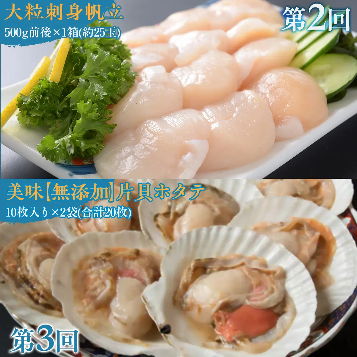 【毎月定期便】網走厳選の海鮮グルメ定期便(バフン雲丹とイクラ醤油漬け・刺身帆立・片貝ホタテ)全3回 ABAO093