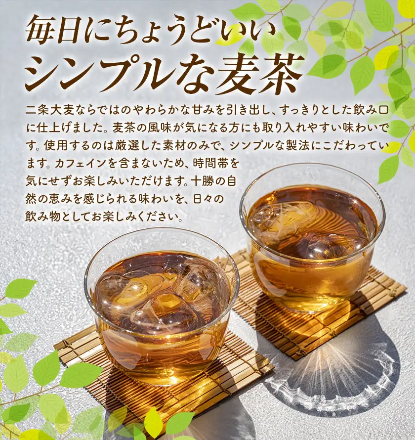 【12ヶ月定期便】二条大麦100％「十勝10時と15時の大麦茶」7包×7袋 北海道 茶