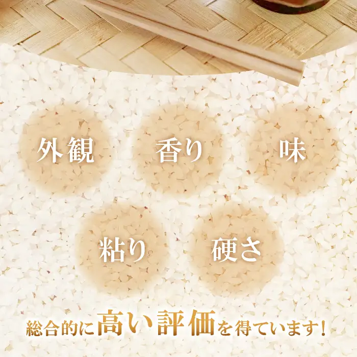 出雲國仁多米の玄米5kg定期便2回【仁多米 こしひかり コシヒカリ 5kg×2回 合計10kg お米 米 玄米 ブランド米 定期 人気 令和7年度産 2025年度産】