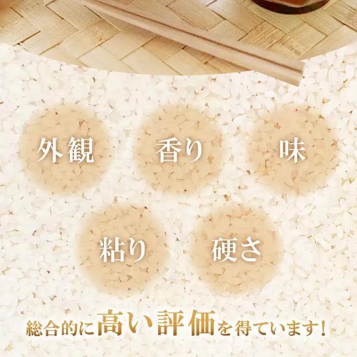 出雲國特別栽培米仁多米15kg【仁多米 特別栽培米 コシヒカリ こしひかり 5kg×3袋 合計15kg 小分け 便利 ブランド米 お米 米 精米 白米 人気 こだわり  ギフト 贈り物 令和7年産 2025年産】