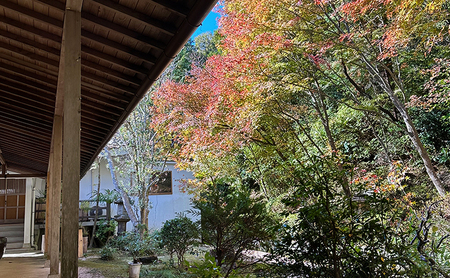 体験チケット 森の小さな「禅」体験坐禅 お茶席 写経 鍼灸 安禅寺 体験チケット