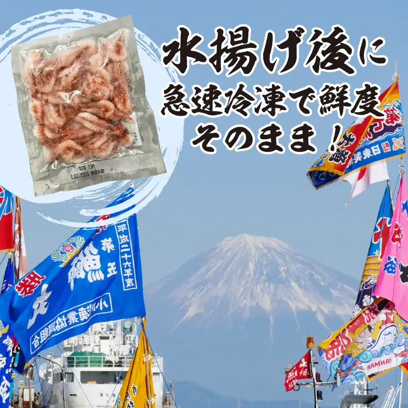 静岡県漁連 お刺身用生桜えび (a12-327)