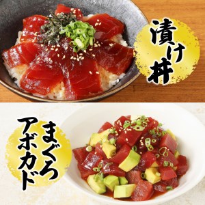 焼津港水揚げ ・南まぐろ (a10-430)