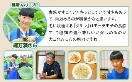 75T-04【大口れんこん】新潟県長岡産レンコン4kg（3.6kg+芽れんこん0.4kg）