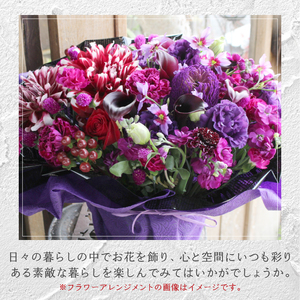【隔月定期便】花のある生活～小松弘典が手がけるフラワーアレンジメント～イメージ別に選ぼう！エレガント＆シックなイメージ（Lサイズ）【定期便：年６回（隔月・２ヶ月に１回）】