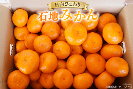 【期間限定発送】 みかん 2L サイズ以上 石地みかん 5kg
