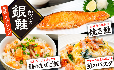 定期便 訳あり 銀鮭 2kg 隔月2回