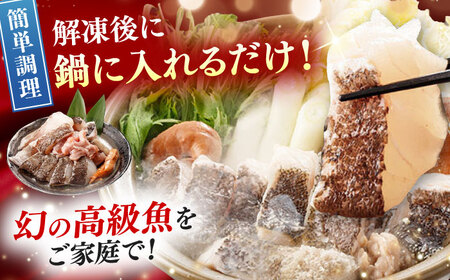 【全2回定期便】対馬 産 クエ 鍋 セット 600g (2ー3人前) 海鮮 [WAC056]