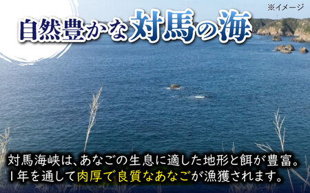 【全2回定期便】対馬 煮あなご膳 セット  アナゴ  [WAC057]