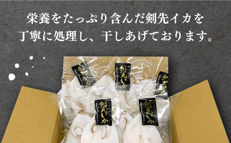 【全2回定期便】対馬産 剣先いか 生 干し [WAC059] 剣先イカ いか 一夜干し