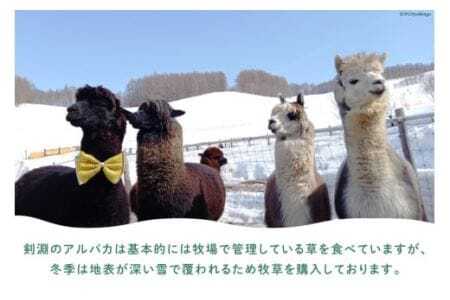 アルパカのエサ